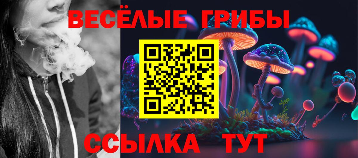 Галлюциногенные грибы Magic Shrooms Химки